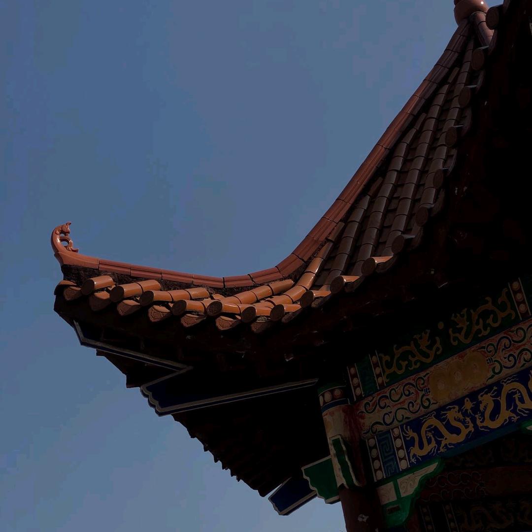 B型水瓶座