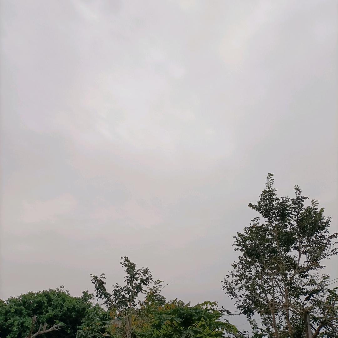 高慧