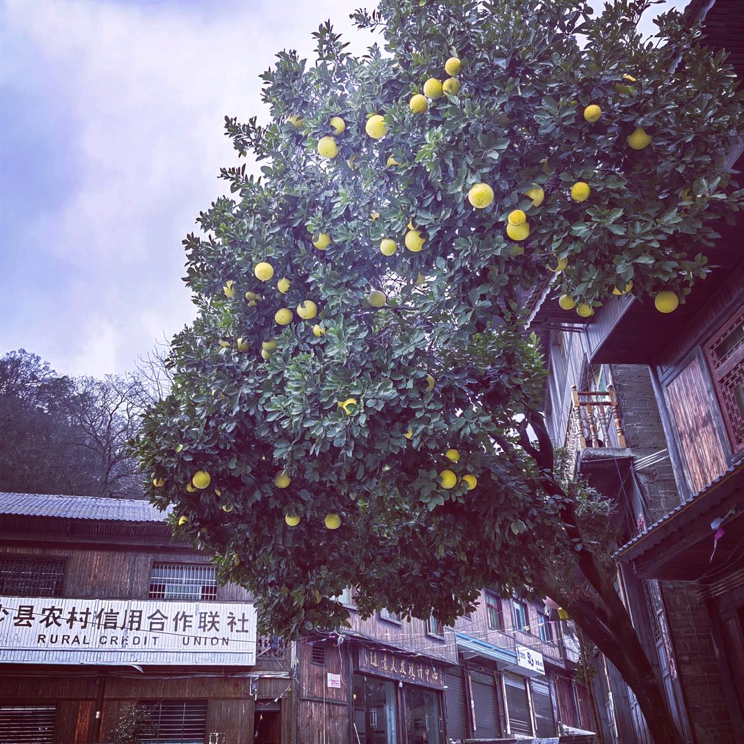 努力~奋斗