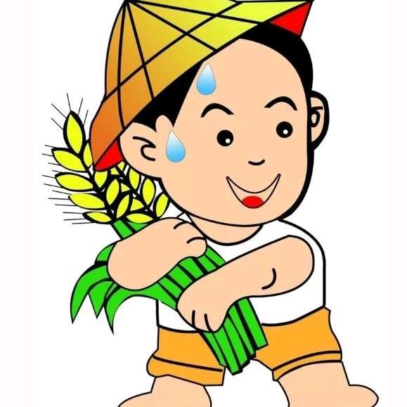 小小田园