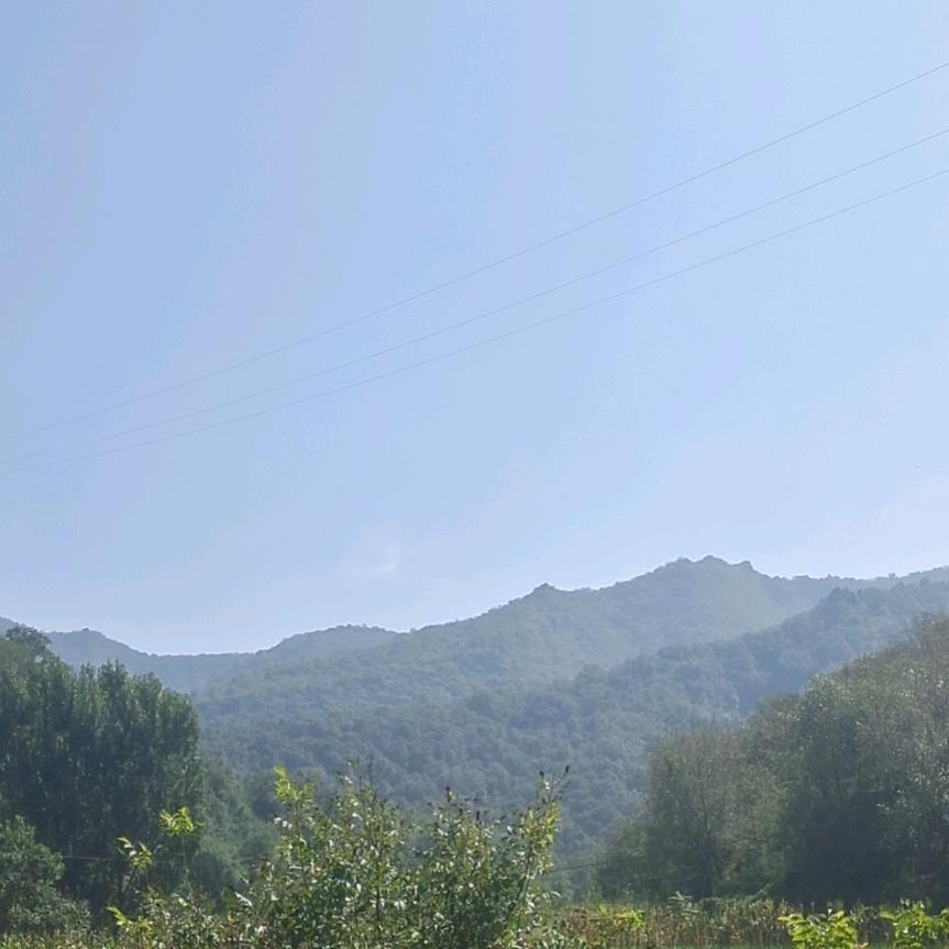 老班