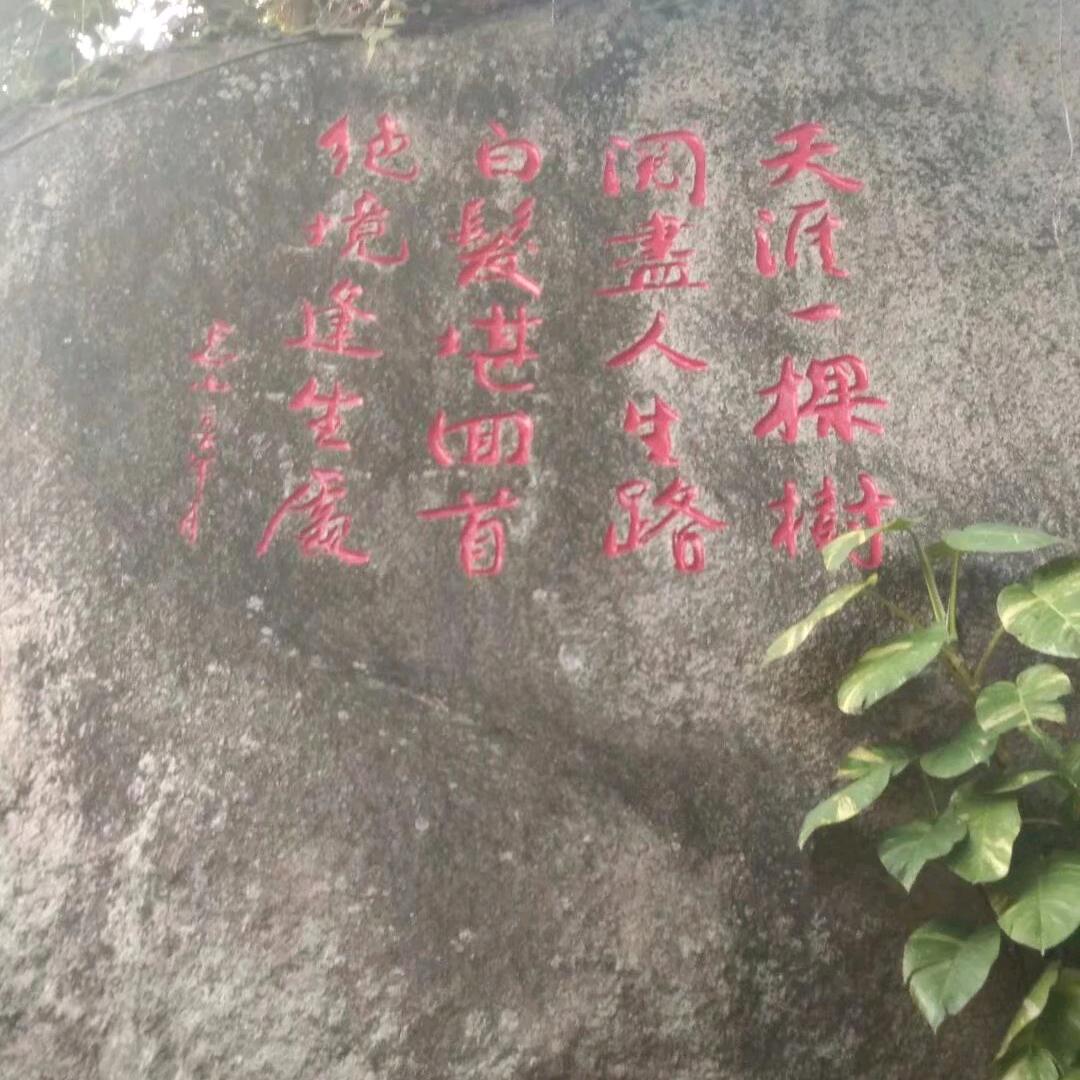 今生@@来世（半价车）
