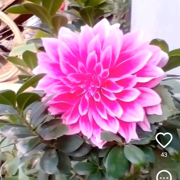 এ杯中烈酒໌ᮨ🚬敬余生🍶དྷ༗࿐