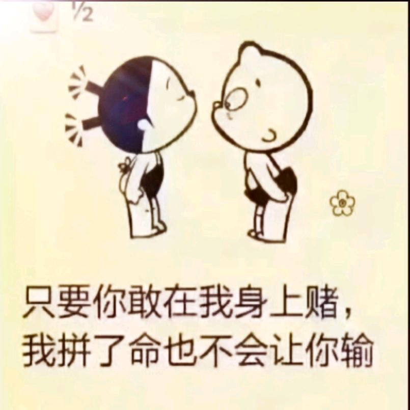 帝泊洱
