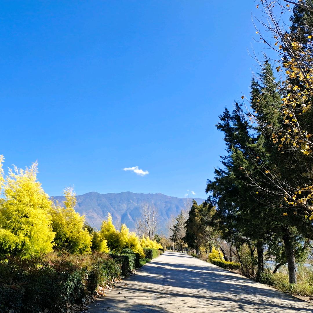 鹤庆县天音艺术培训中心曹慧勇