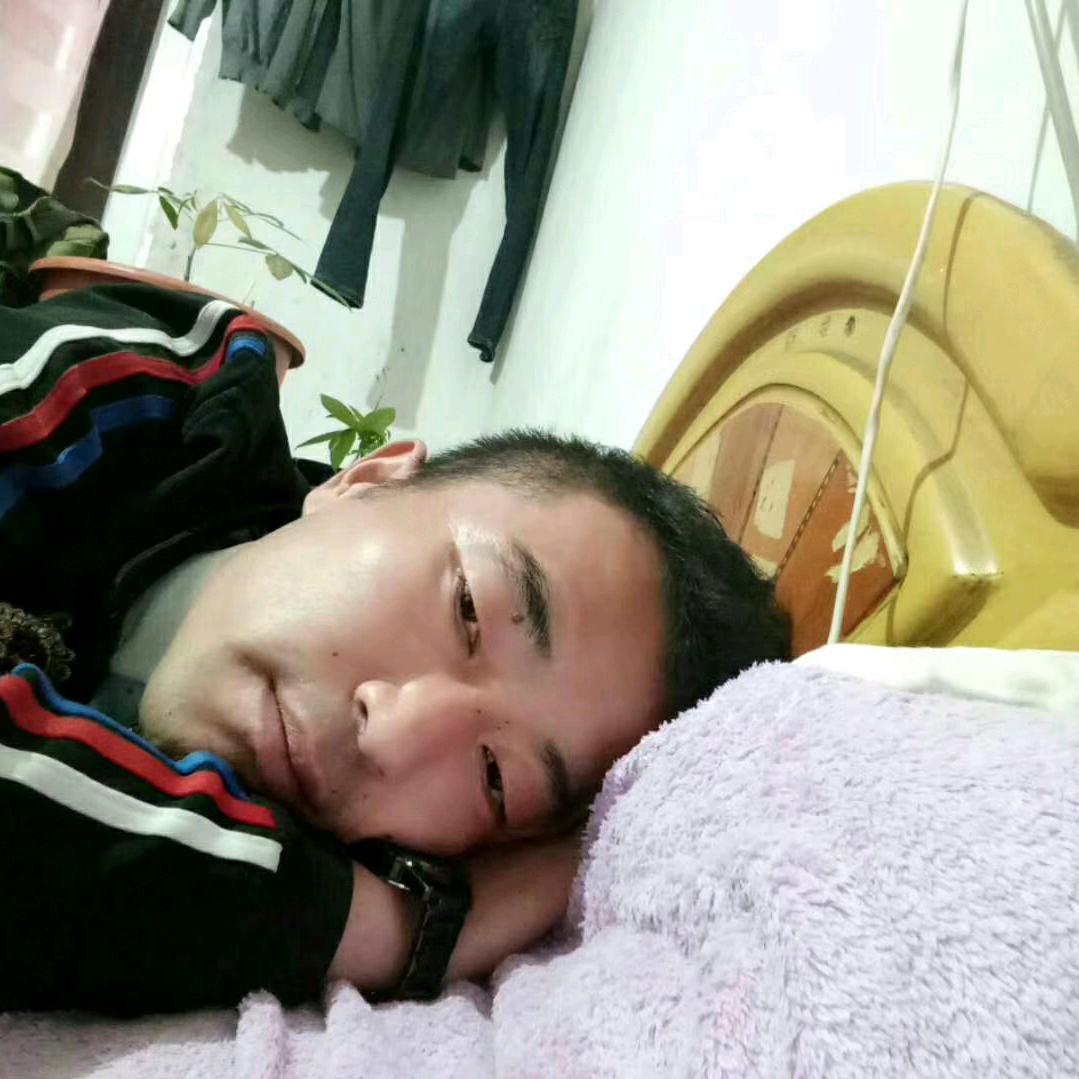 紫龙
