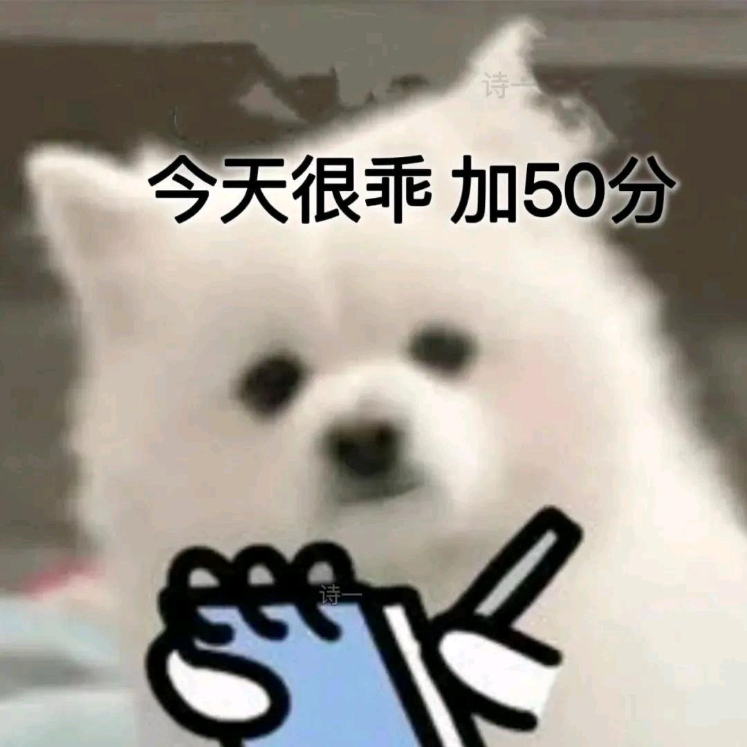 总被女人骗❤️‍🔥