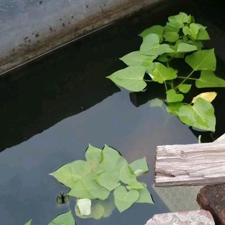 喜洋洋甄选小店