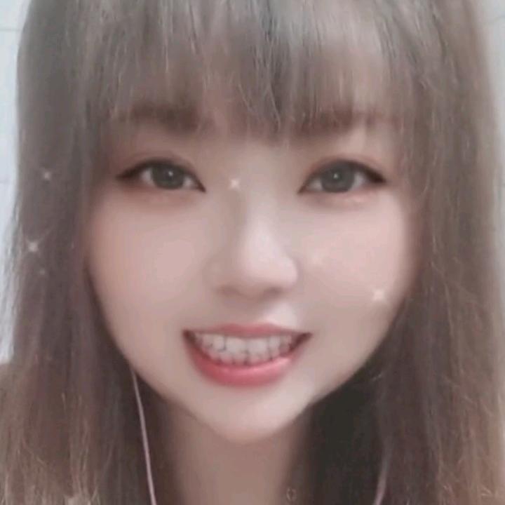 春天的小燕子