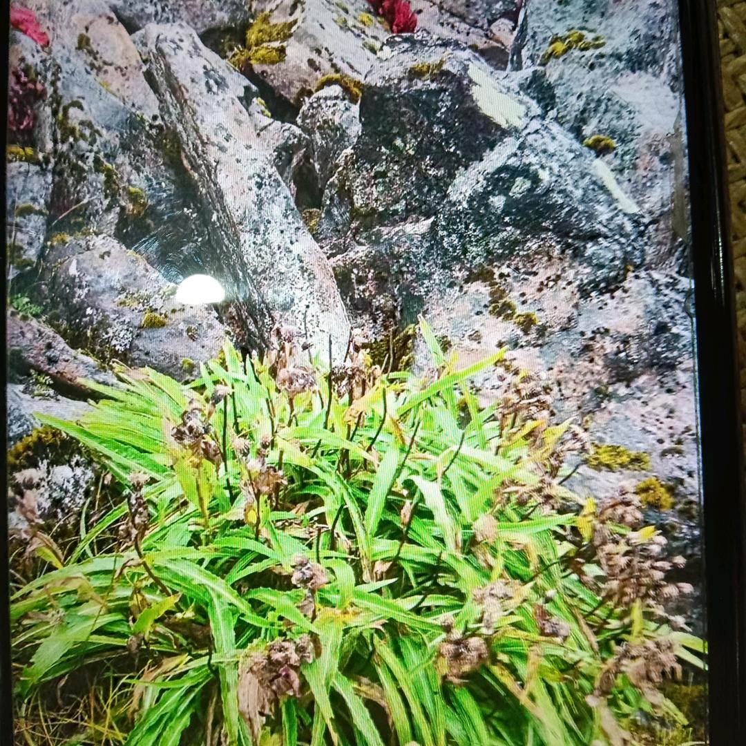 三清界