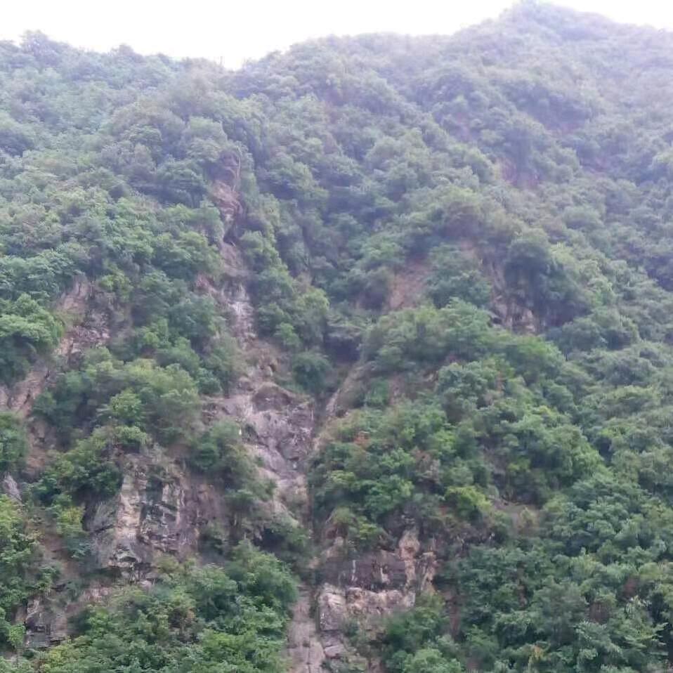 真心对待