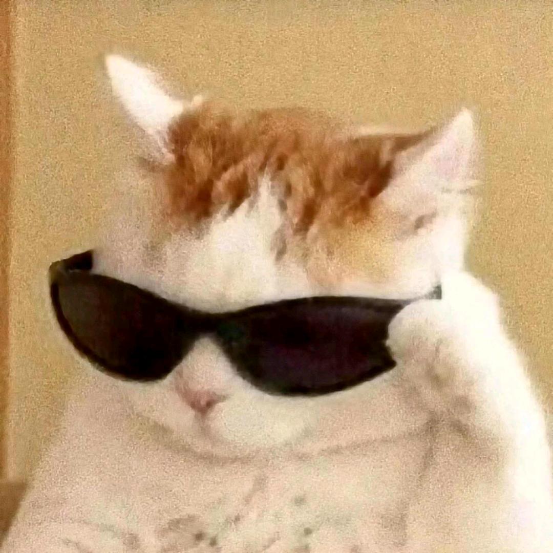 🌈ʕ·͡˔·Ɂ安于时光ღ᭄ꦿ