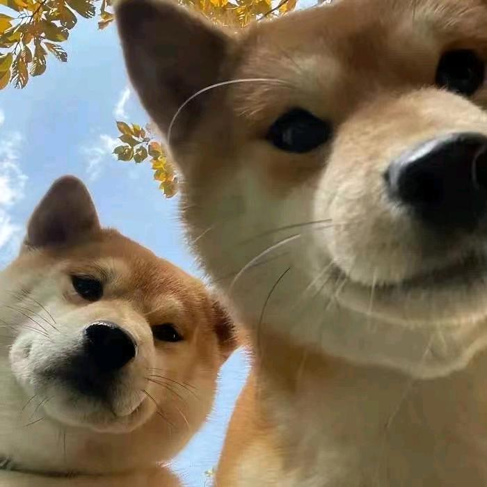 偷得半日闲