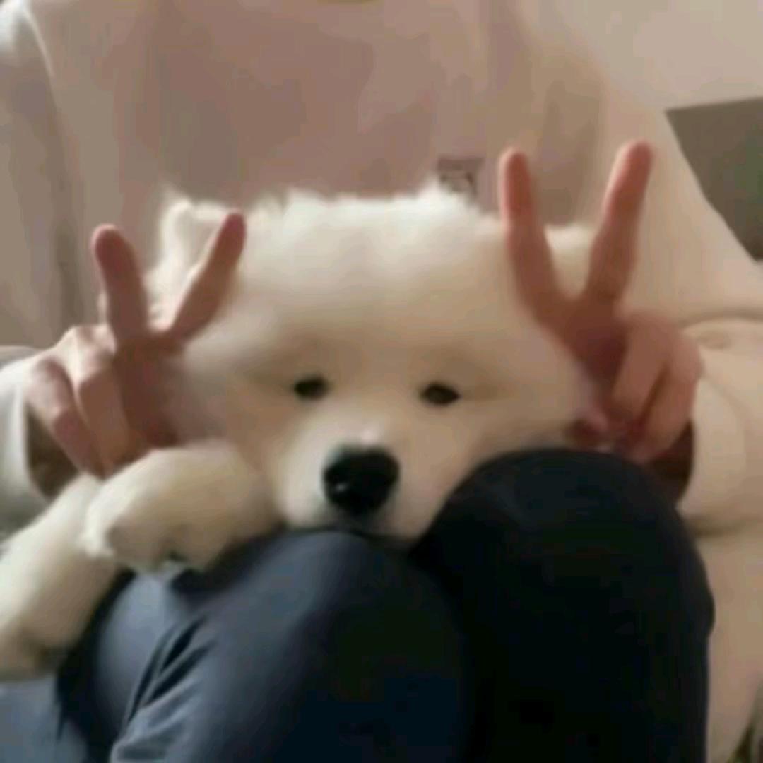 不知道a起啥
