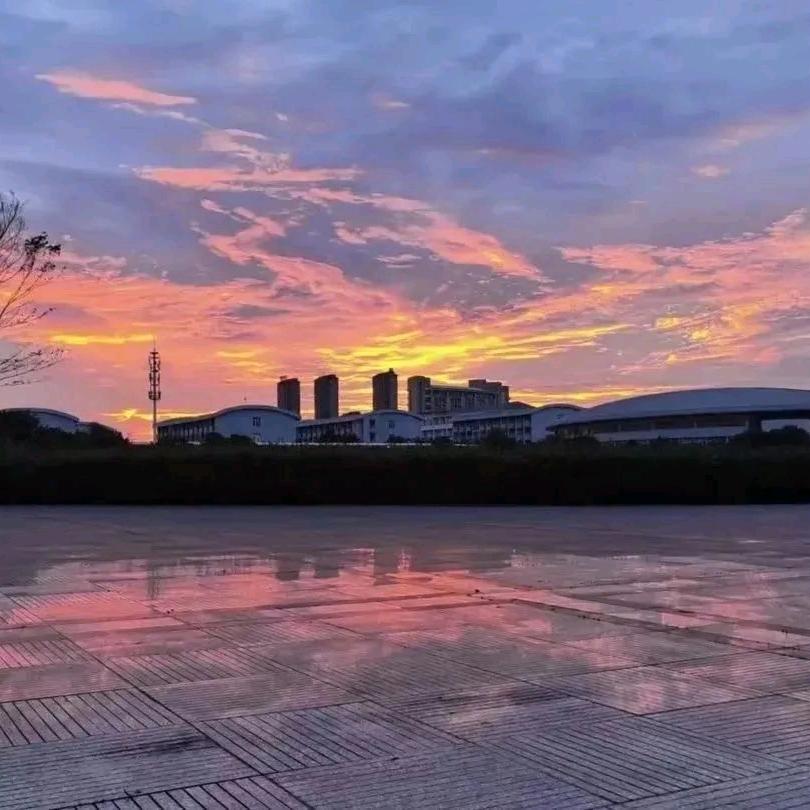 陈sir摄影📷