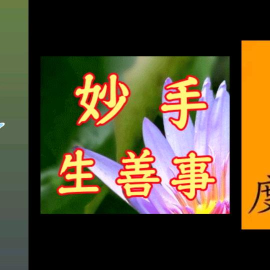 没刺的刺猬