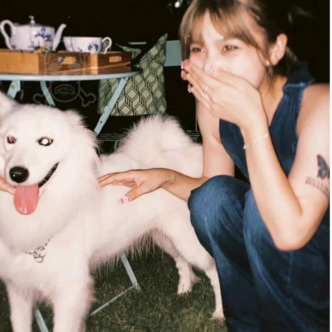 你真烦！（好运版）