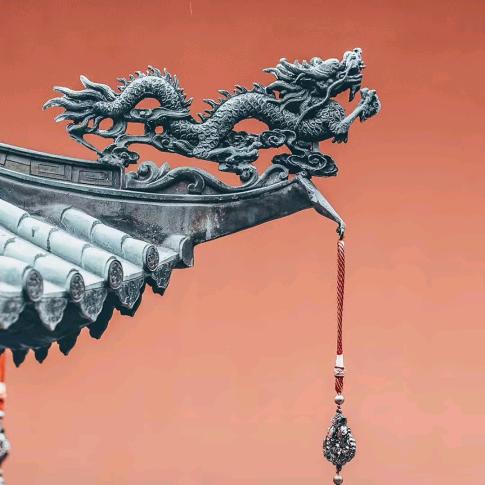 龖丿龖