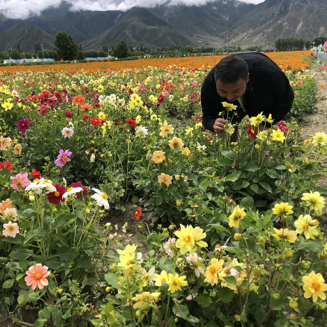 བདེན་འཚོལ།