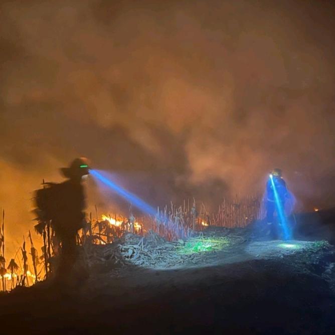 小郭正在努力呀🚒