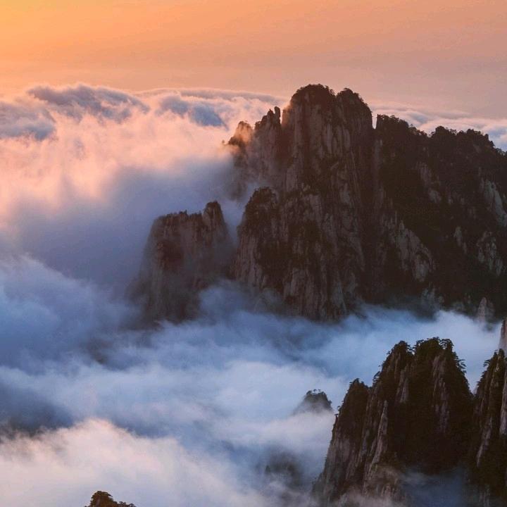用户8177146982049