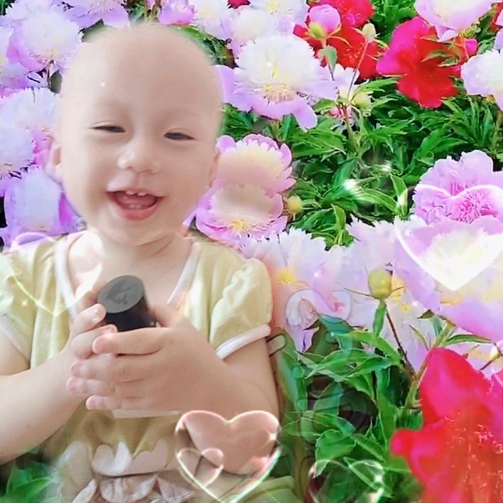 陆小慧
