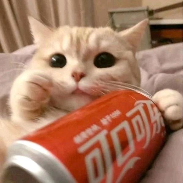 如意