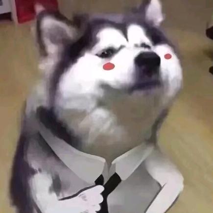 沙雕本雕