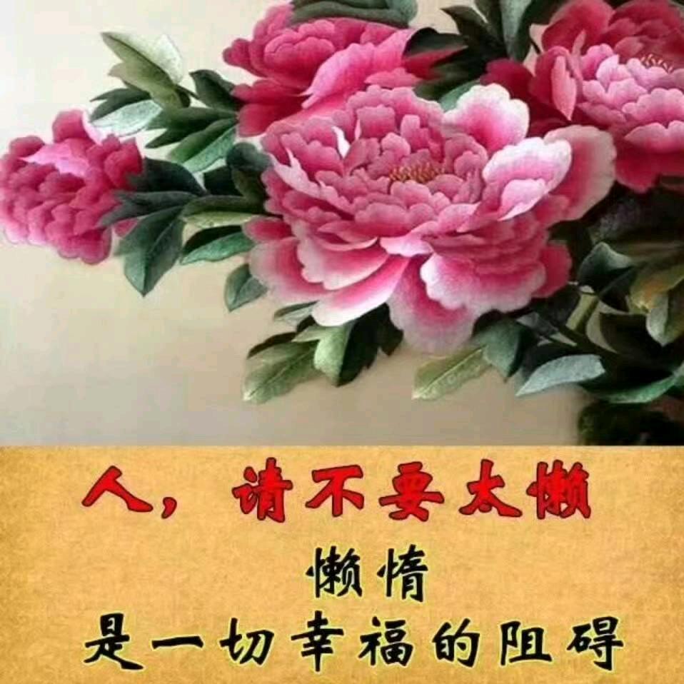 健康平安才开心