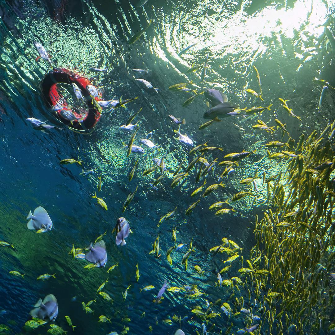 满满的幸福🥰🥰