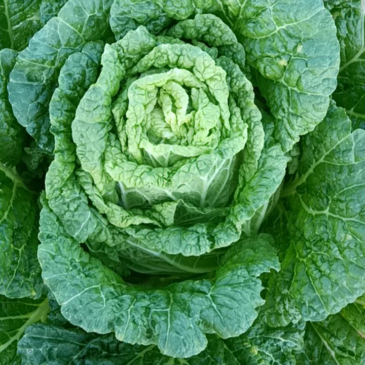 贵荣