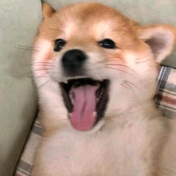 北辰✨