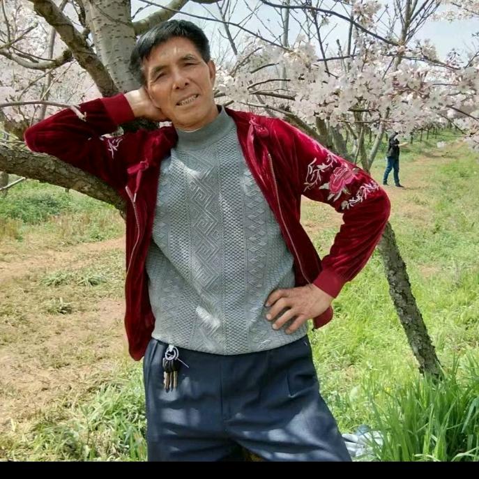 以药为本，治病救人杨药师