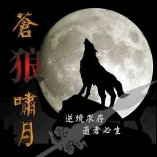 🌗孤🐺狼🌓