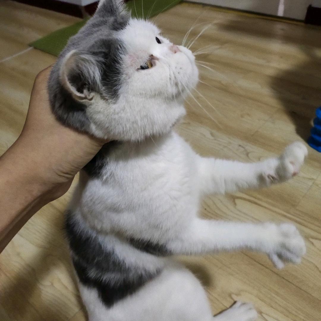 摇篮中梦醒了