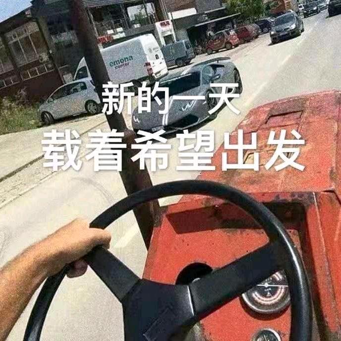板蓝根.