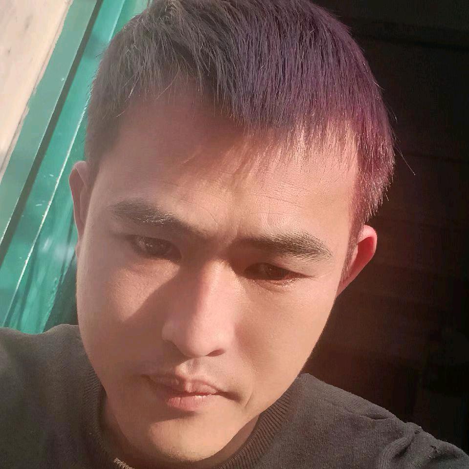 🌲桉木虫🐛🐛🐛