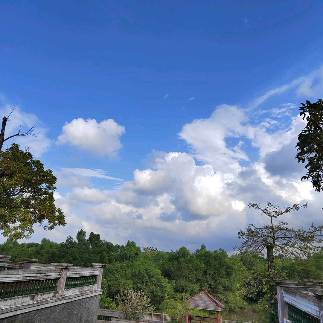行走在