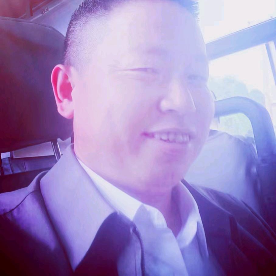 草原上飞驰的骏马