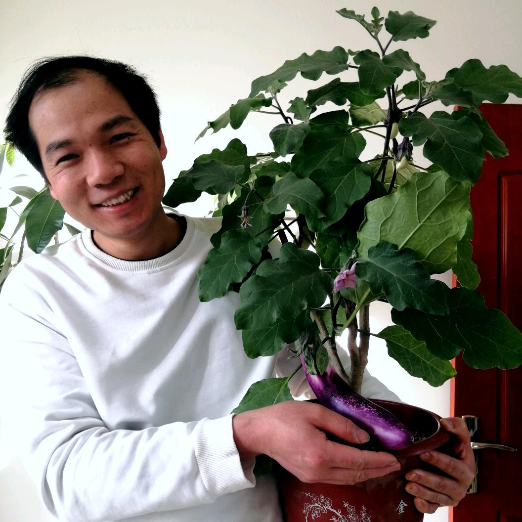 保定花有鱼小王