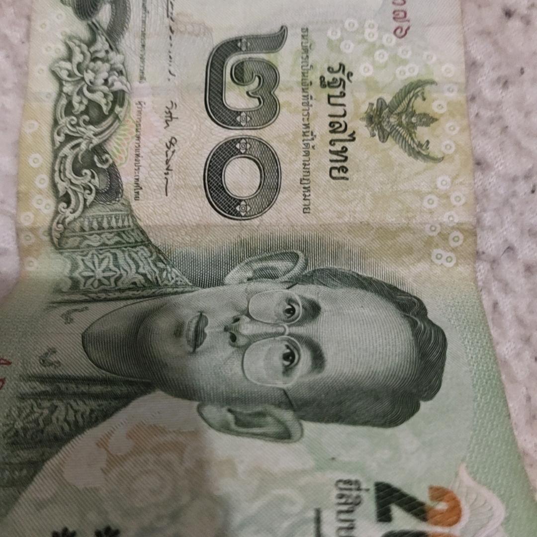 生在凡尘也胜仙