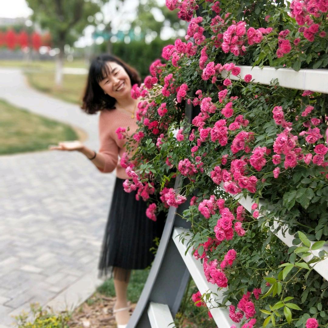 吕桂珍橱窗