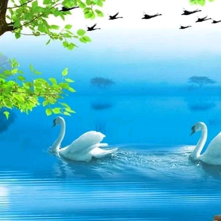 净心，黄金租赁