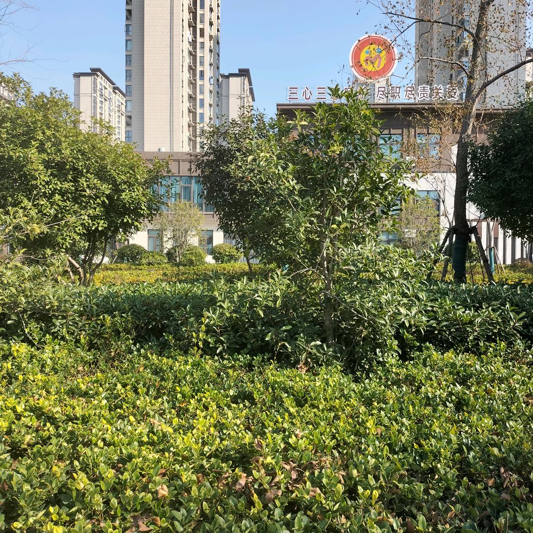帅哥爱唱歌