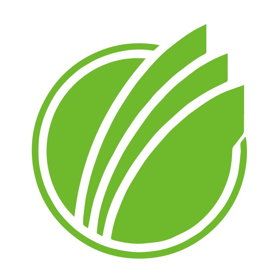 春雨教育小学好书严选