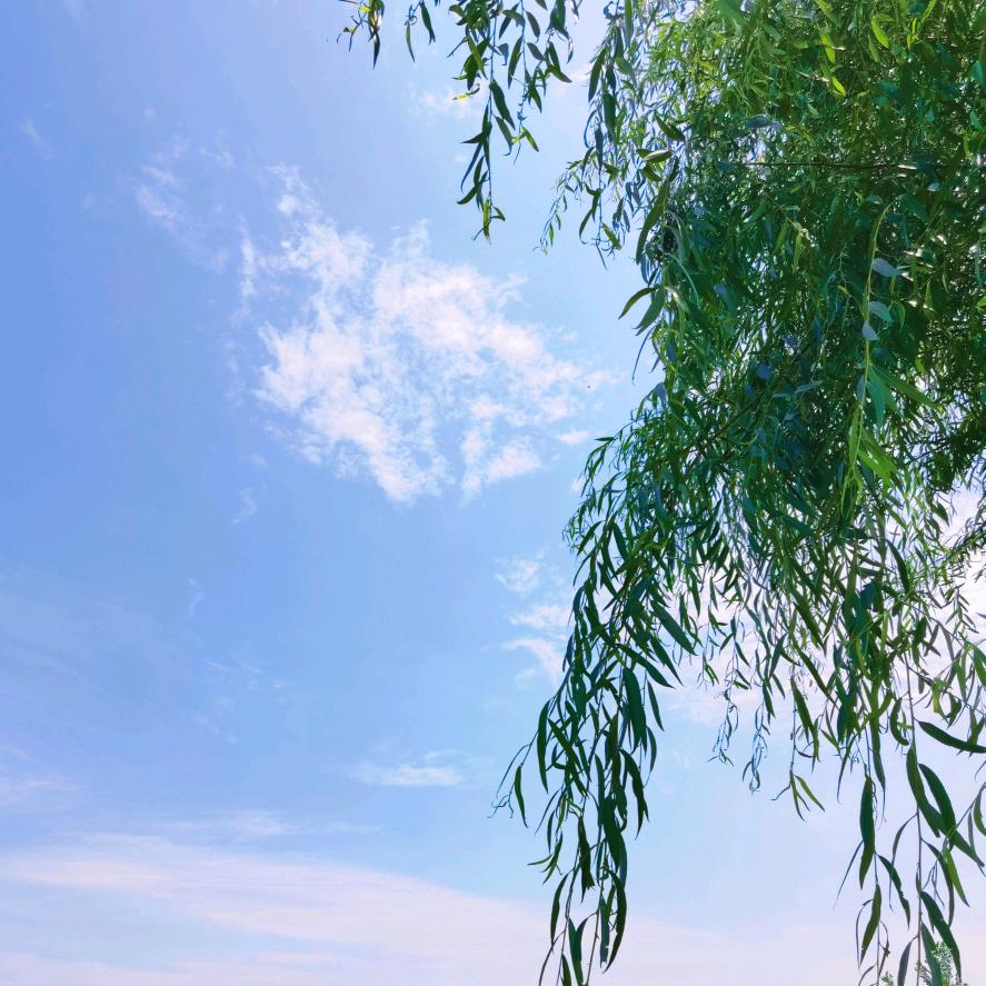 传输