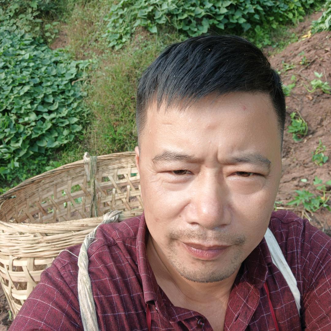 用户兵哥哥