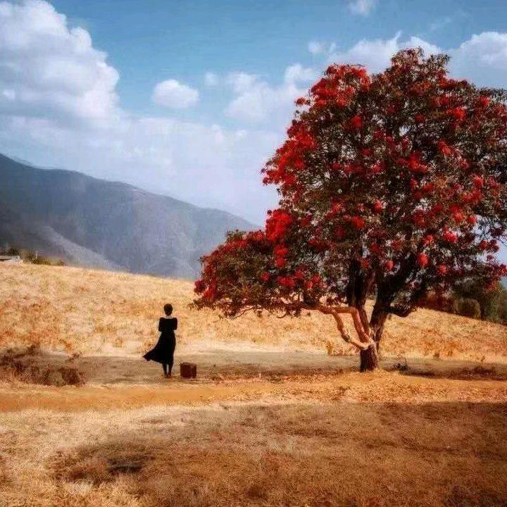 不期而遇（kuai）