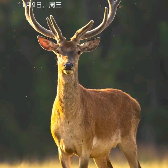 天知