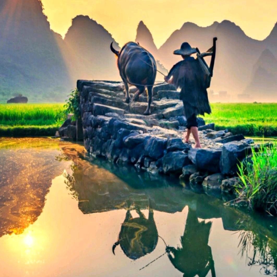 世纪之光
